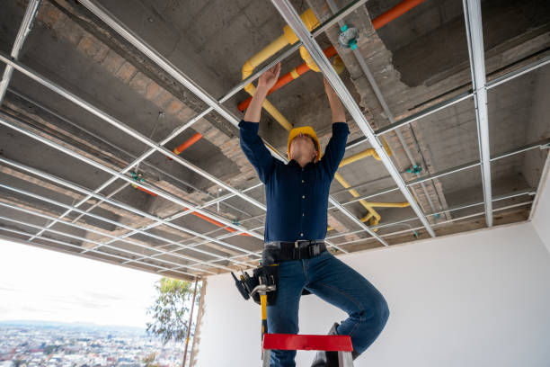Best Best Plumbers Near Me  in Ada, MN