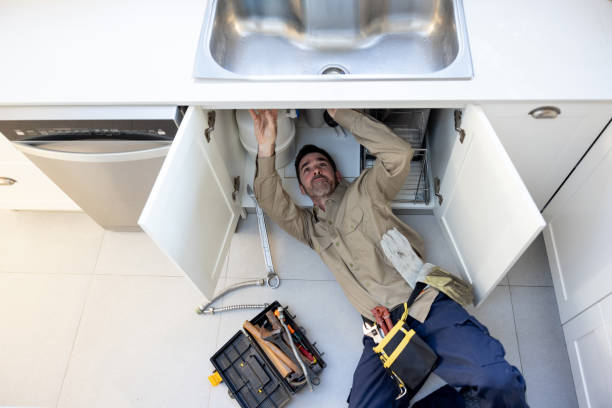 Best Plumbing Services Near Me  in Ada, MN