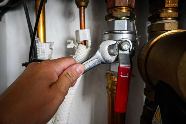 Best Toilet Repair Services  in Ada, MN